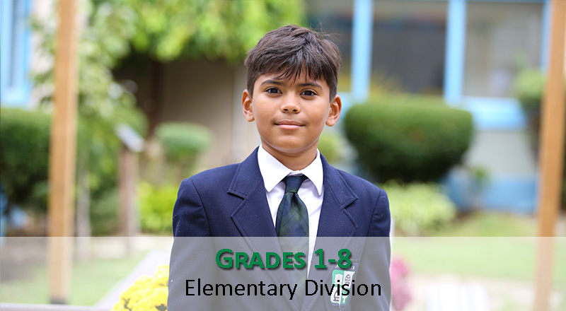 homepage-div-elem
