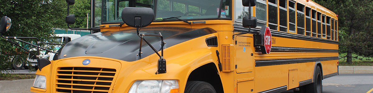 stock photo of school bus